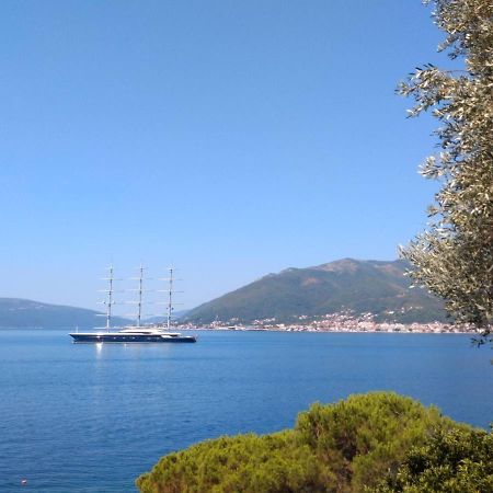Olive Tree Apartments Tivat Exterior photo