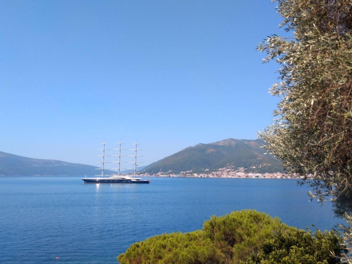 Olive Tree Apartments Tivat Exterior photo