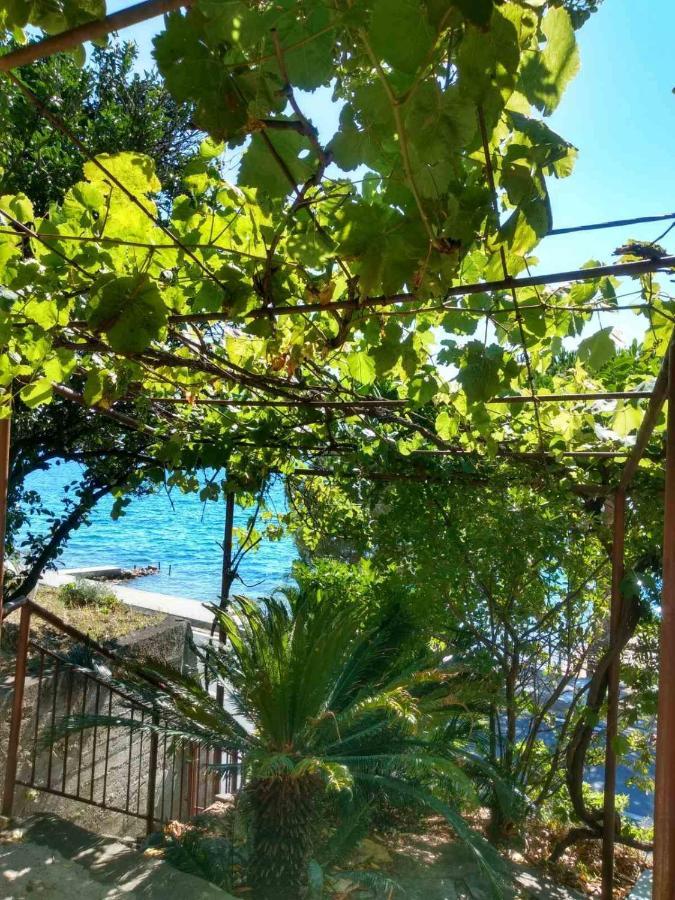 Olive Tree Apartments Tivat Exterior photo