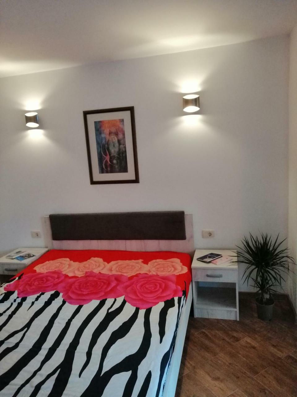 Olive Tree Apartments Tivat Exterior photo