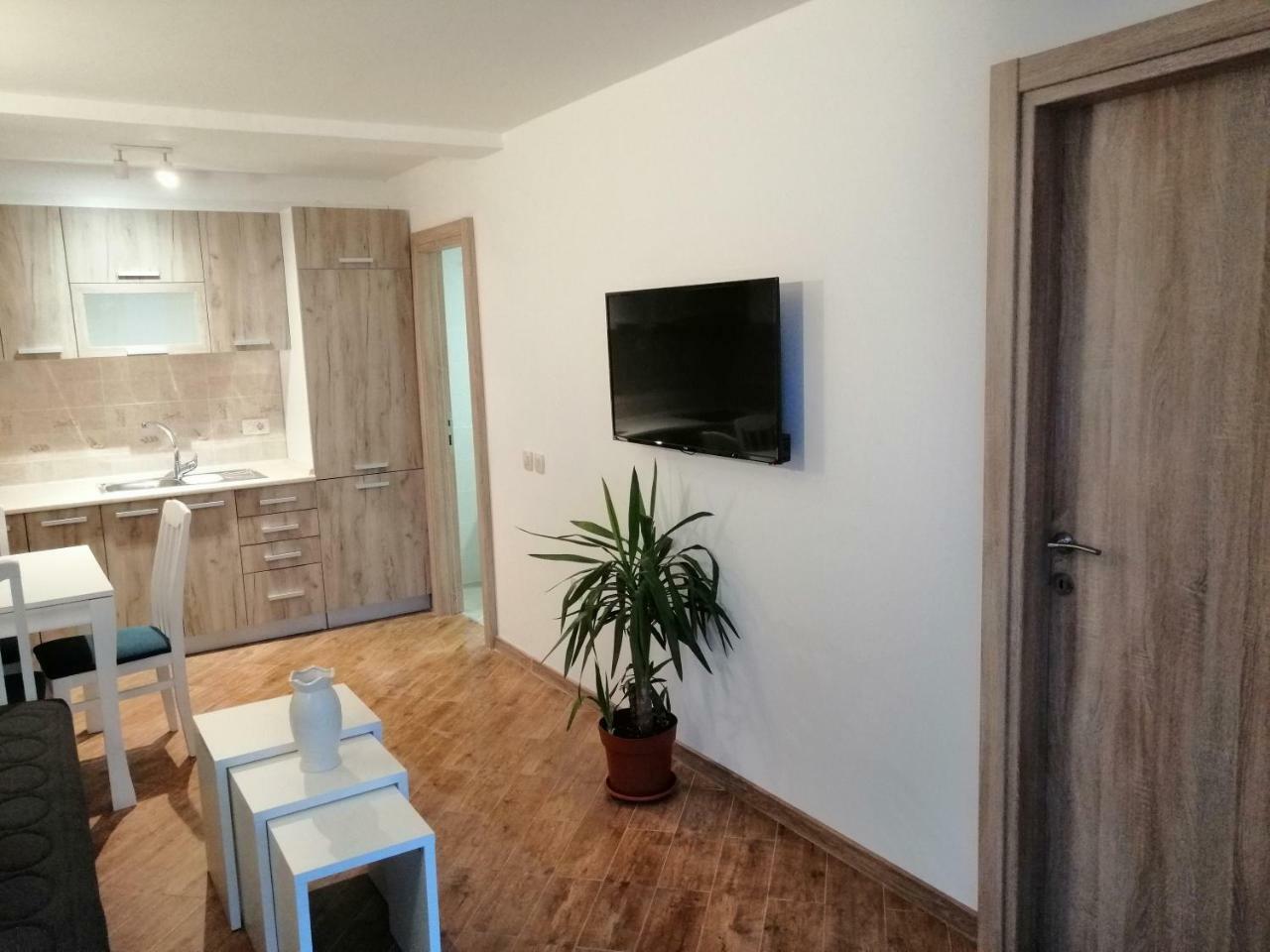 Olive Tree Apartments Tivat Exterior photo