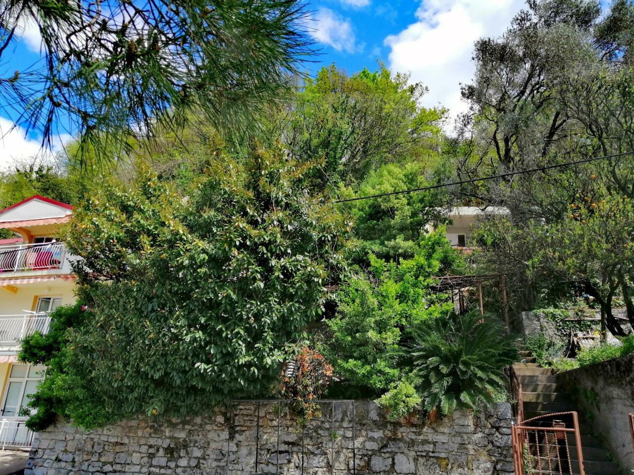 Olive Tree Apartments Tivat Exterior photo