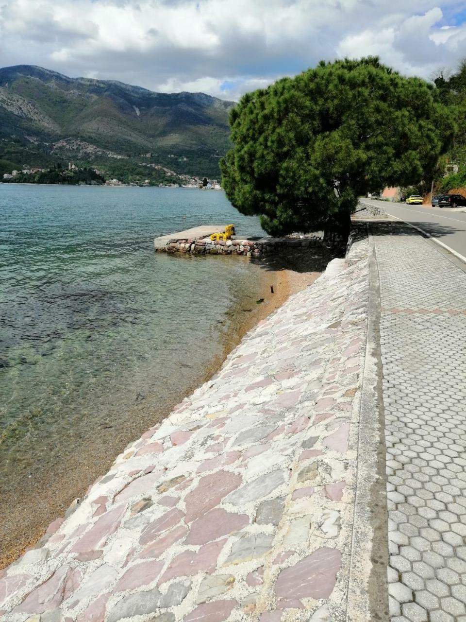 Olive Tree Apartments Tivat Exterior photo